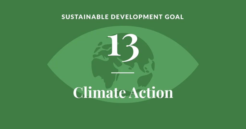 Climate Action SDG 13