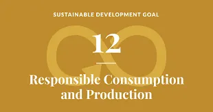 SDG 12