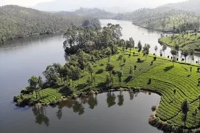 दिवाली के दौरान घूमने के लिए पांच जगहें सबसे अच्छी हैं कूर्ग कर्नाटक